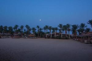 luminosa Luna a il cielo mentre in piedi su il spiaggia con palme foto