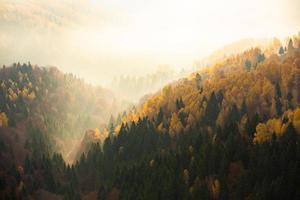 colorato autunno paesaggio nel il montagna villaggio. nebbioso mattina nel il carpazi montagne nel Romania. sorprendente natura. foto