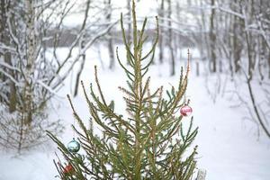 vivere abete rosso decorato con Natale bicchiere palle nel retrò stile su il sfondo di un' nevoso foresta. nuovo anno, inverno paesaggio foto