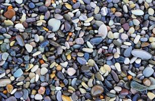 pietre di mare
