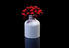 bianca vaso con rosso frutti di bosco nel ghiaccio con riflessione, nero sfondo isolato, foto