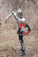 nobile guerriero. ritratto di uno medievale guerriero o cavaliere nel armatura e casco con scudo e spada in posa foto