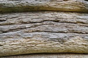 di legno sfondo modello per mestieri o astratto arte struttura foto