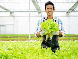 asiatico uomo in crescita lattuga verdura nel idroponica serra piccolo attività commerciale agricoltura azienda agricola. maschio giardinaggio proprietario con orgoglio produrre biologico piantagione salutare insalata, vegetariano cibo nel urbano giardino foto