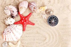 conchiglie e stelle marine con bussola sulla sabbia