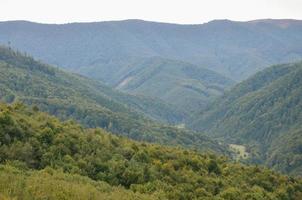 frammento di il montagnoso terreno nel il Carpazi, Ucraina. il foresta è perdonato di il rilievi di il carpazi montagne foto