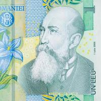 nicola orga ritratto su rumeno i soldi 1 leu 2005 banconota a partire dal Romania banca foto