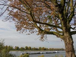 il Reno fiume e il città di dusseldorf foto