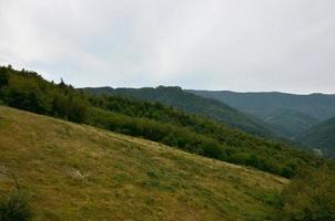 frammento di il montagnoso terreno nel il Carpazi, Ucraina. il foresta è perdonato di il rilievi di il carpazi montagne foto