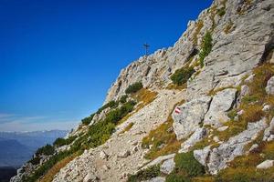 corno bianco, contralto adige, Italia, 2022 foto