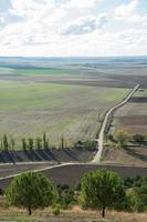 verde paesaggio con un' strada per il orizzonte foto