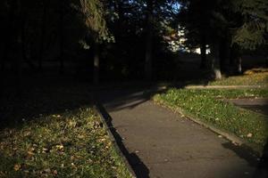 strada su soleggiato giorno senza le persone. toppa nel parco. dettagli di vecchio parco. foto