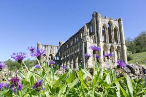 abbazia esterno con viola fiori nel il nord York brughiere nazionale parco, unito regno foto