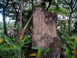 pietra ornamento nel il modulo di un' albero tagliare fatto di cemento tiro nel il giardino piazza foto