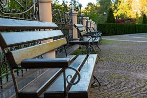 romantico panchina nel un' silenzioso parco nel estate foto