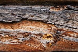 di legno sfondo modello per mestieri o astratto arte struttura foto