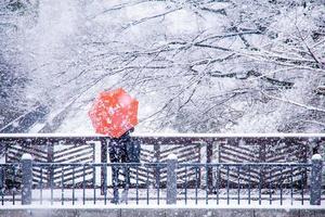 donna con l'ombrello nella neve foto