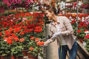 fioraio donna irrigazione fiori mentre cura di loro nel un' serra foto