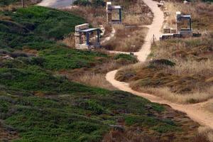 pedone strada nel il città parco su il spiaggia. foto