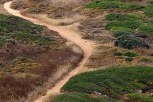 pedone strada nel il città parco su il spiaggia. foto