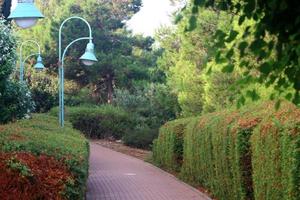 pedone strada nel il città parco su il spiaggia. foto