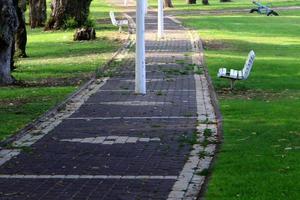 pedone strada nel il città parco su il spiaggia. foto