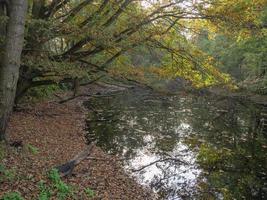 il vechte fiume nel Germania foto