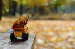 un' piccolo giocattolo giallo camion è caricato con giallo caduto le foglie. il auto sta su un' di legno superficie contro un' sfondo di un' sfocato autunno parco. pulizia e rimozione di caduto le foglie. di stagione lavori foto