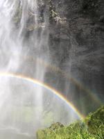 un' arcobaleno nel davanti di seljalandsfoss cascata su il meridionale costa di Islanda su un' soleggiato giorno foto