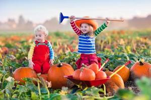 bambini che raccolgono zucche sul campo di zucche di Halloween