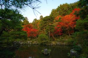 ginkaku-ji, tempio di il argento padiglione o ufficialmente di nome jisho-ji, tempio di splendente misericordia, un' zen tempio nel il sakyo reparto di kyoto, kansai, Giappone foto