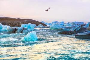 jokulsarlon, o glaciale fiume laguna, un' grande glaciale lago su il bordo di Vatnajokull nazionale parco nel sud-est Islanda foto