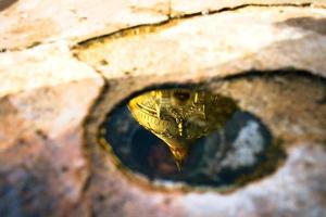 riflessione di Shwezigon pagoda nel il poco acqua buco, uno di il attrazione di il pagoda, bagan, mandalay regione, Myanmar foto