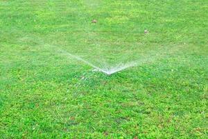 spruzzatore nel giardino irrigazione il prato. automatico irrigazione prati concetto foto