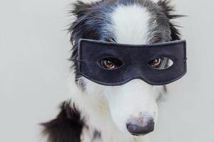 divertente ritratto di simpatico cane border collie in costume da supereroe isolato su sfondo bianco. cucciolo che indossa una maschera nera da supereroe a carnevale o halloween. concetto di forza di aiuto della giustizia. foto