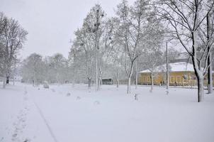 Charkiv. Ucraina - aprile 4, 2022 inaspettato rapido ricaduta di neve nel aprile su il charkov strade foto