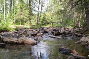 legna ponte al di sopra di il fiume.grande treccia fiume nel il nazionale parco taganay foto