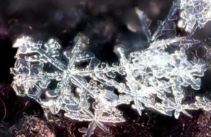 cristalli di fiocco di neve foto