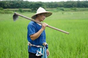 asiatico uomo contadino è a risaia campo, indossa cappello, blu camicia e detiene un' Zappa su il suo spalla. concetto biologico agricoltura. no chimico. utilizzando tradizionale Manuale attrezzo nel invece di uso erbicida. zero inquinamento foto