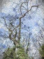 illustrazione digitale alberi astratti rami sfondo foto