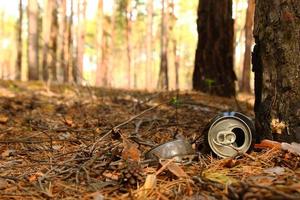 Russia, Siberia. lattina può e bicchiere bottiglia su un' erba nel un' pino foresta. foto