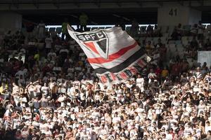 rio, brasile, novembre 02, 2022, fan bandiera nel incontro fra fluminese vs sao paulo di 36 ° il giro di brasiliano campionato, un' serie nel maracana stadio foto