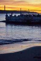 persone godendo il tramonto Visualizza al di sopra di il tagus fiume nel Lisbona foto