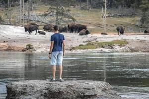 uomo guardare a bisonte mentre esplorando a sponde del lago nel Yellowstone nazionale parco foto
