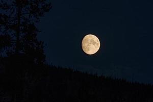 Visualizza di bellissimo Luna al di sopra di silhouette paesaggio a Yellowstone parco nel notte foto