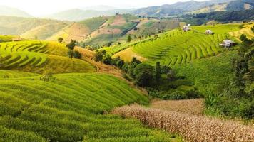 aereo Visualizza di riso terrazza a bandire papà bong piang nel chiang Mai Tailandia foto