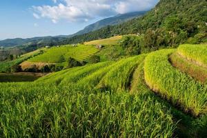paesaggio di riso terrazza a bandire papà bong piang nel chiang Mai Tailandia foto