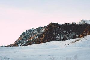 campo coperto di neve sotto il cielo bianco foto