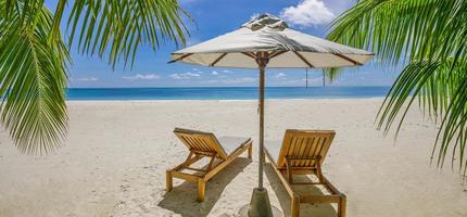 tropicale spiaggia natura come estate paesaggio con sala sedie letti palma albero le foglie e calma mare per spiaggia striscione. lusso viaggio paesaggio, bellissimo destinazione per vacanza o vacanza. spiaggia scena foto