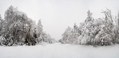 nazione strada cancellato di neve, cumuli di neve e un' innevato foresta lungo il lati, su un' inverno giorno. magnifico villaggio paesaggio. foto
